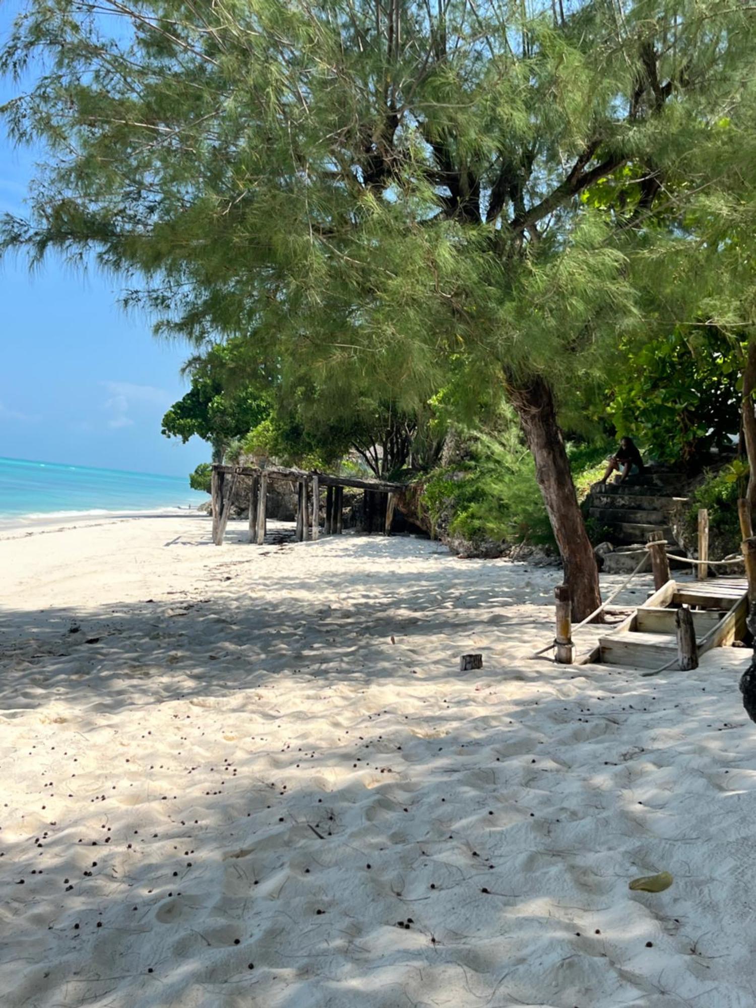 Lodge Sazani