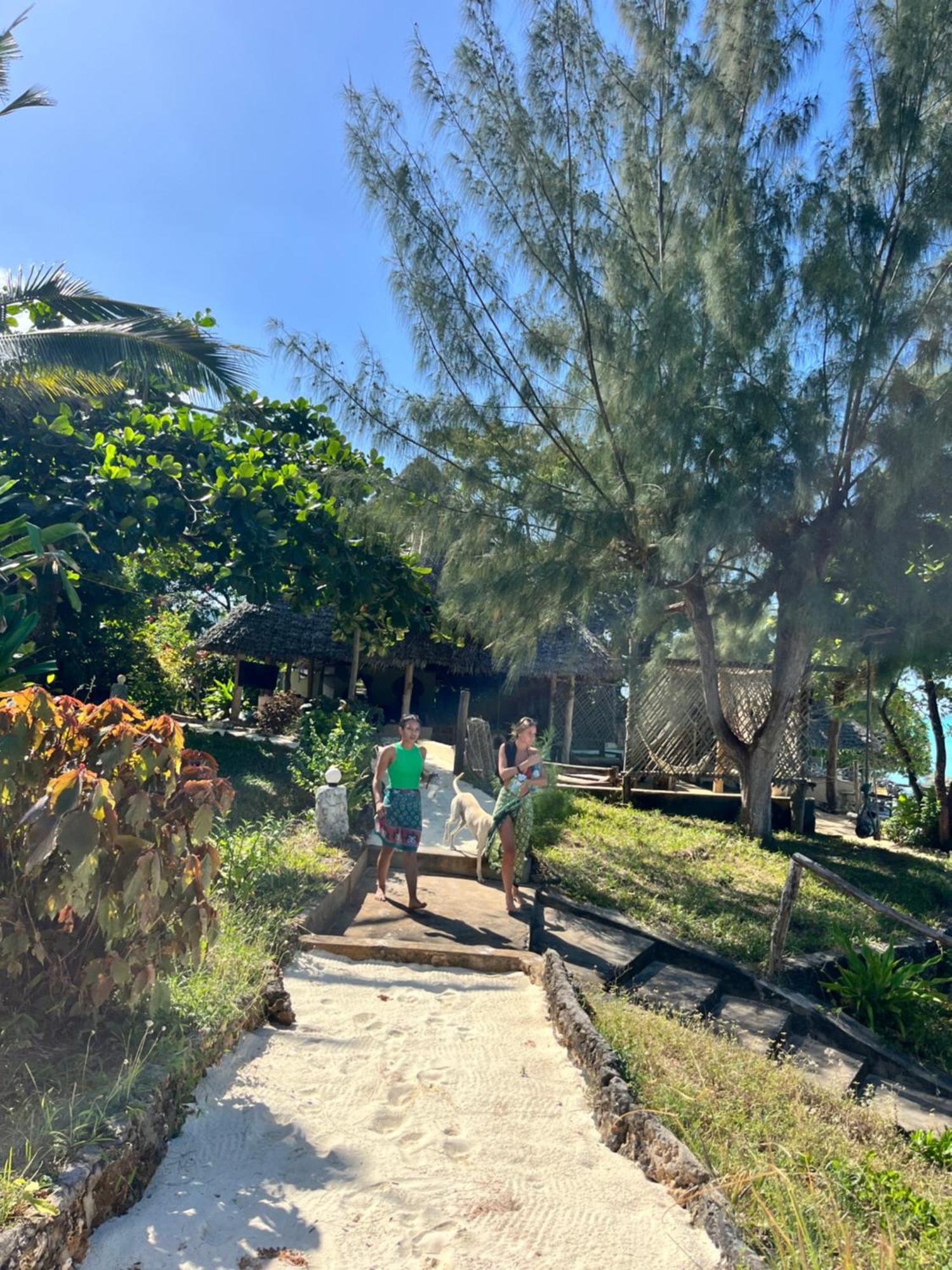 Lodge Sazani Nungwi